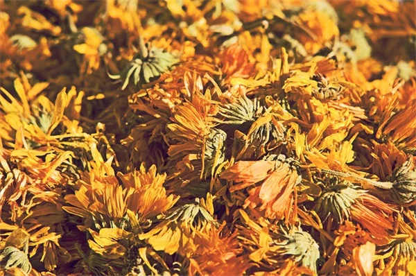 Landscaping with Bulbs: 5 Easy Bed Patterns That Work
