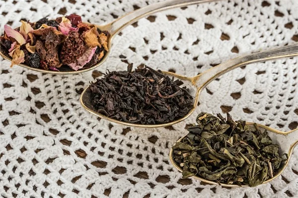 How to Collect Fall Seeds: Save Money and Share with Friends